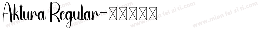Aktura Regular字体转换